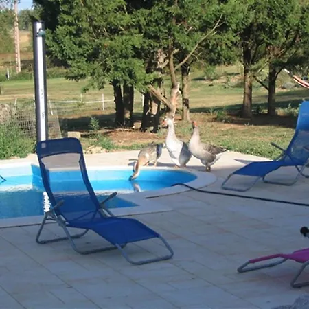 ベッド・アンド・ブレックファスト Chambres D'hotes Au Chien Bleu