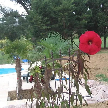Bed & Breakfast Chambres D'hotes Au Chien Bleu