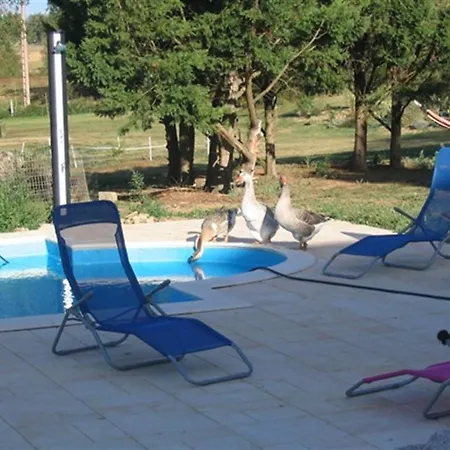 Bed & Breakfast Chambres D'hotes Au Chien Bleu